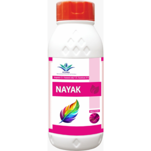 NAYAK
